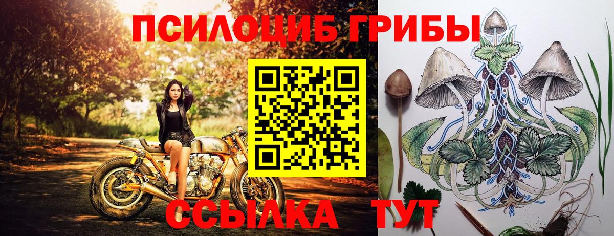 Псилоцибиновые грибы Psilocybe  Вход с VPN  Каменск-Шахтинский  Галлюциногенные грибы Magic Shrooms 